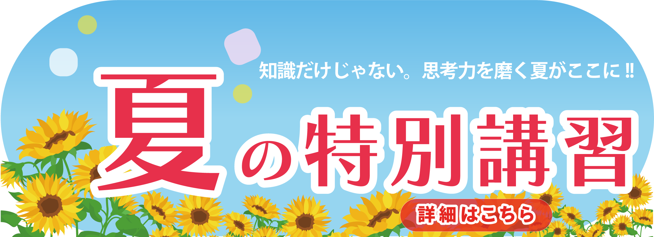 バナー