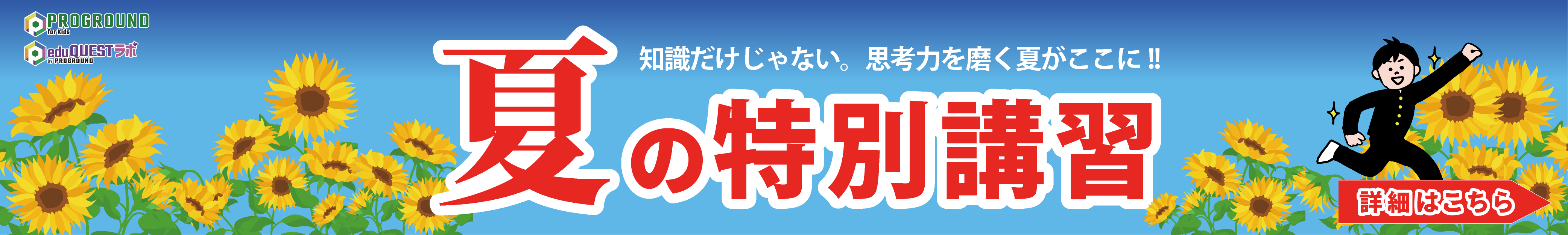 夏の特別講習