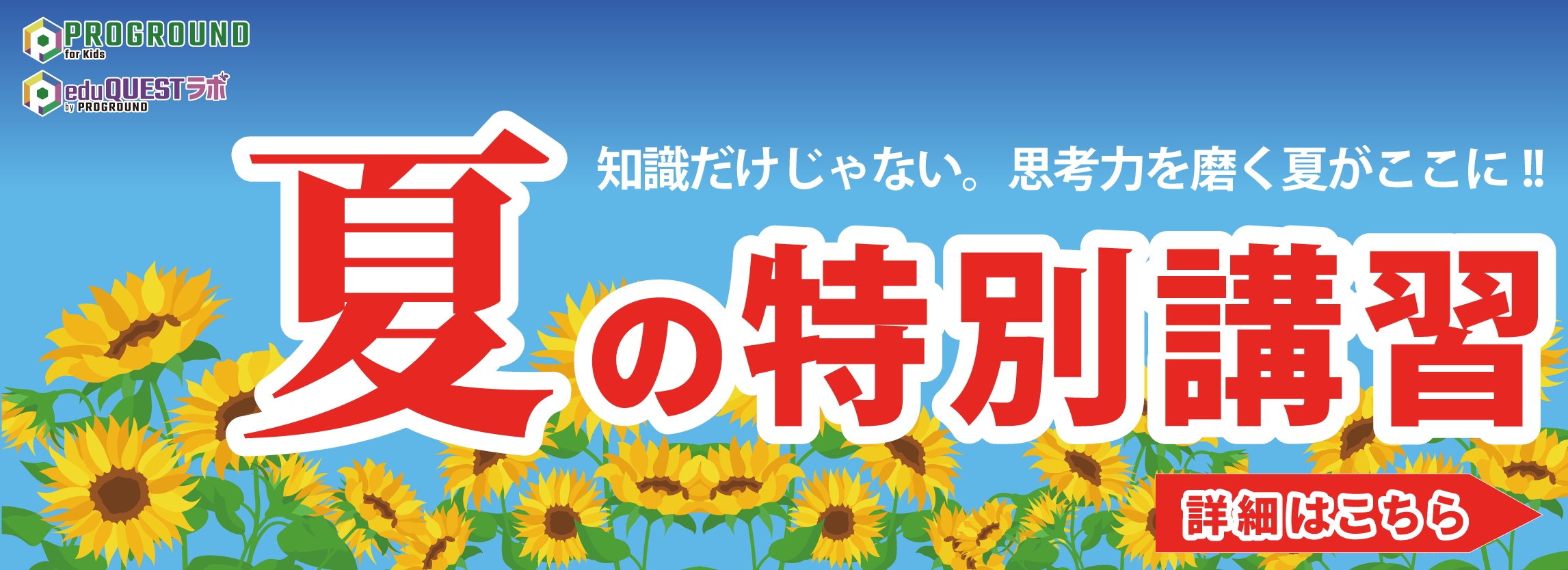 夏の特別講習